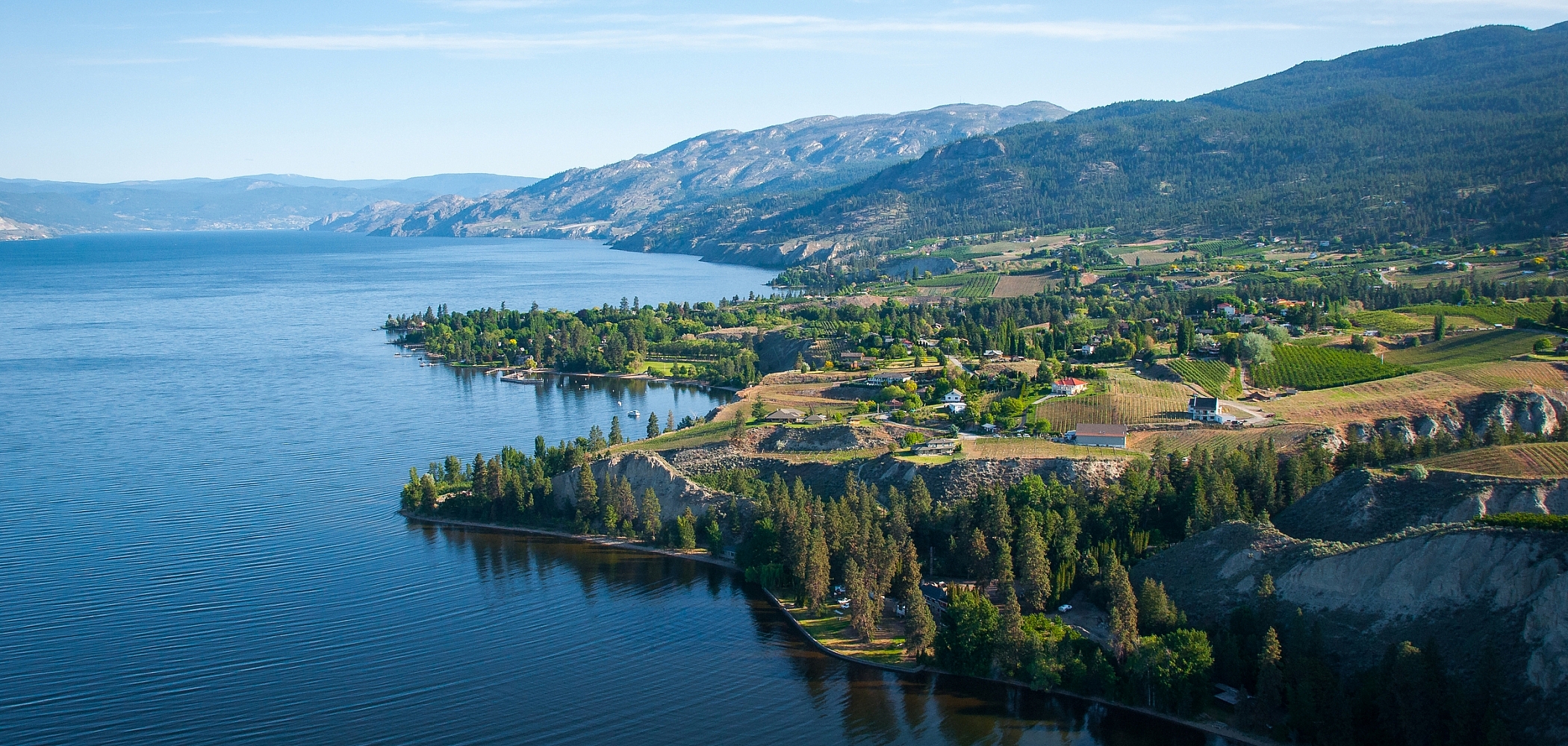 The lush Naramata Bench, dotted with vineyards, overlooks blue Okanagan Lake.