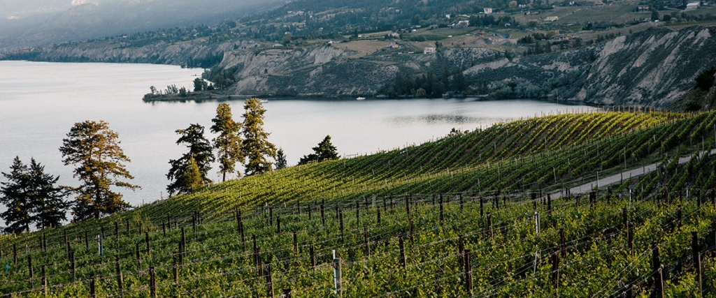 5 Great Winery Restaurants In BC’s Okanagan Valley - Explore BC | Super ...