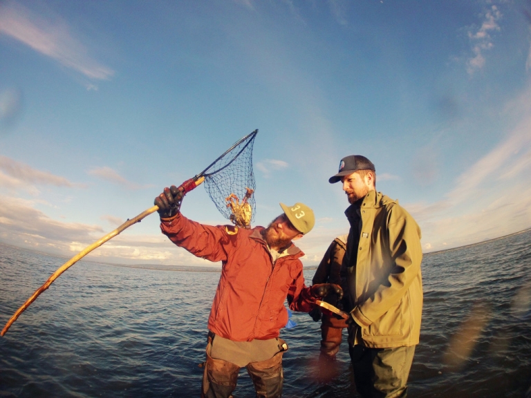 Crabbing on the West Coast of BC Super, Natural BC