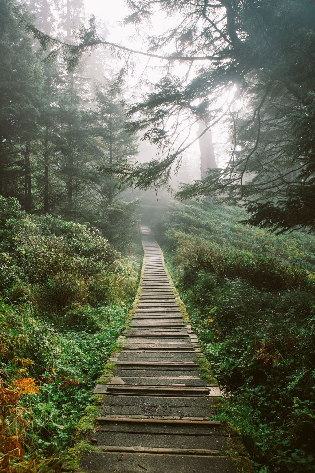 Pacific Rim National Park Reserve | Ben Giesbrecht