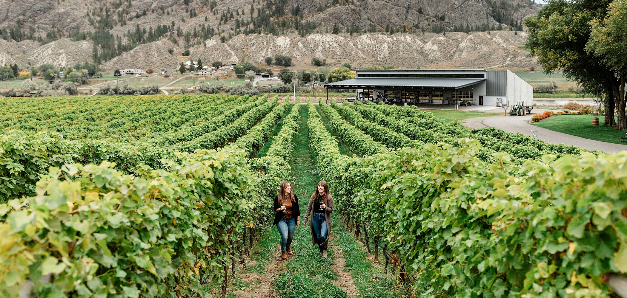 Two people walking through a verdant vineyard surrounded by the desert-like landscapes of Kamloops.