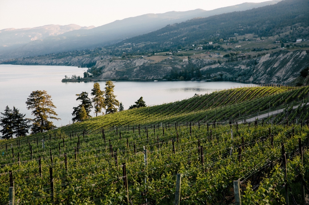 Wineries & Wine Tours in British Columbia | Super, Natural BC