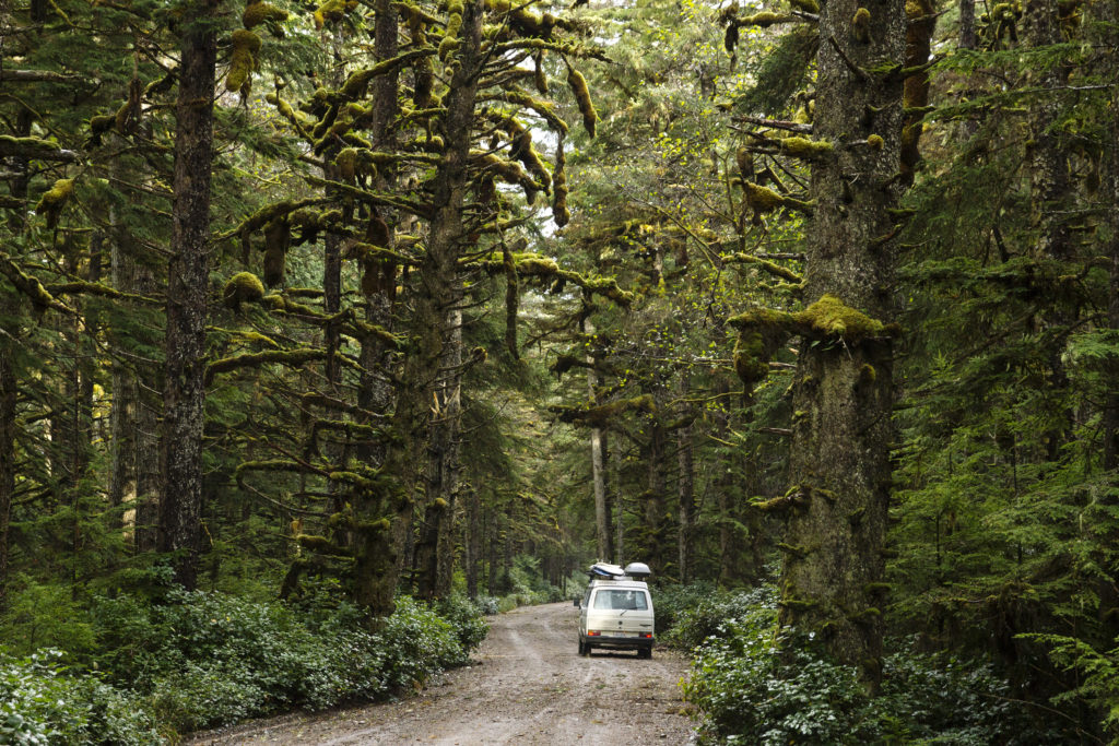 An RV drives down a dirt road lined with trees.