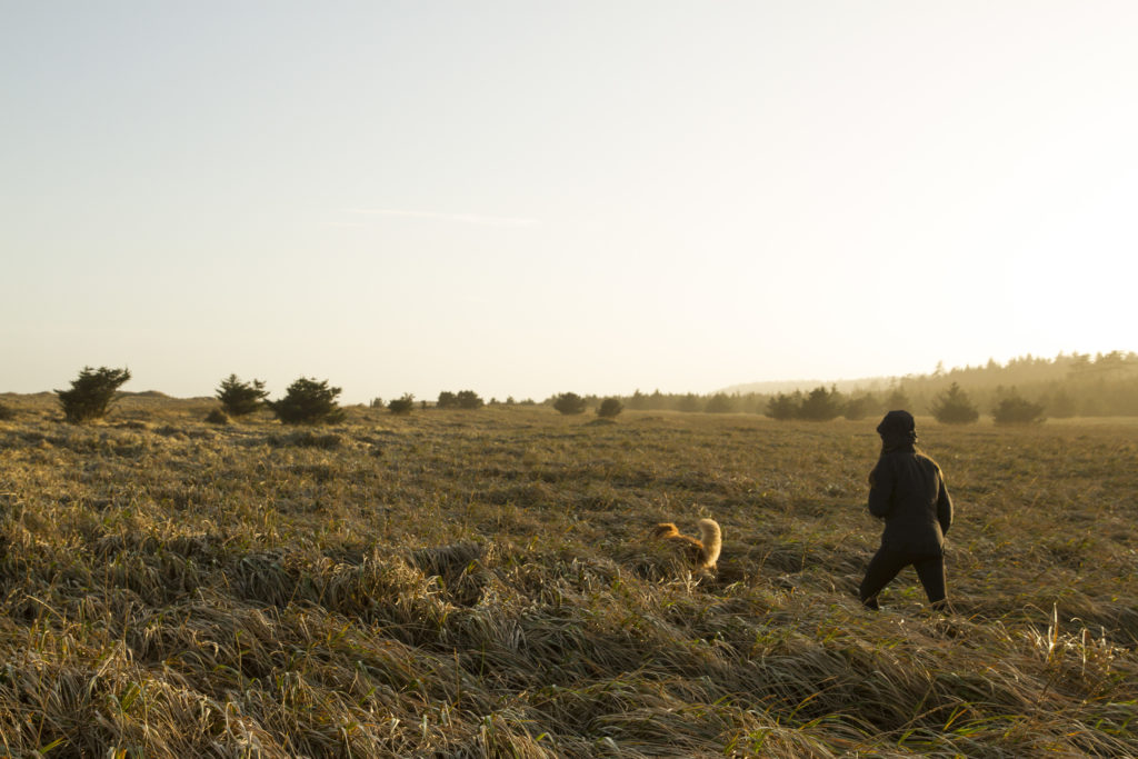 A woman and her dog hike through long golden grass.