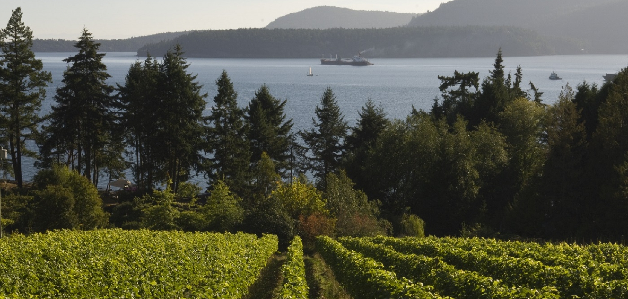 Four Reasons To Visit Pender Island This Fall | Super, Natural BC