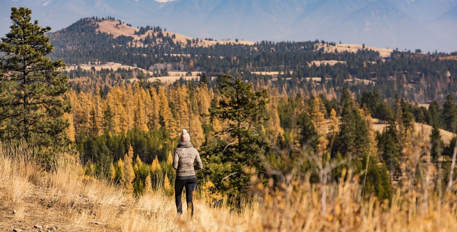 A person in a knit sweater stands on a viewpoint overlooking Fisher Park where there are larches amidst pines with sweeping views of mountains on the horizon.