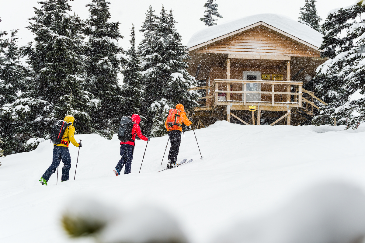 Three skiers skin up to a cabin the snow surrounded by trees. One is wearing a yellow jacket, one red, and one orange. They each carry a backpack.