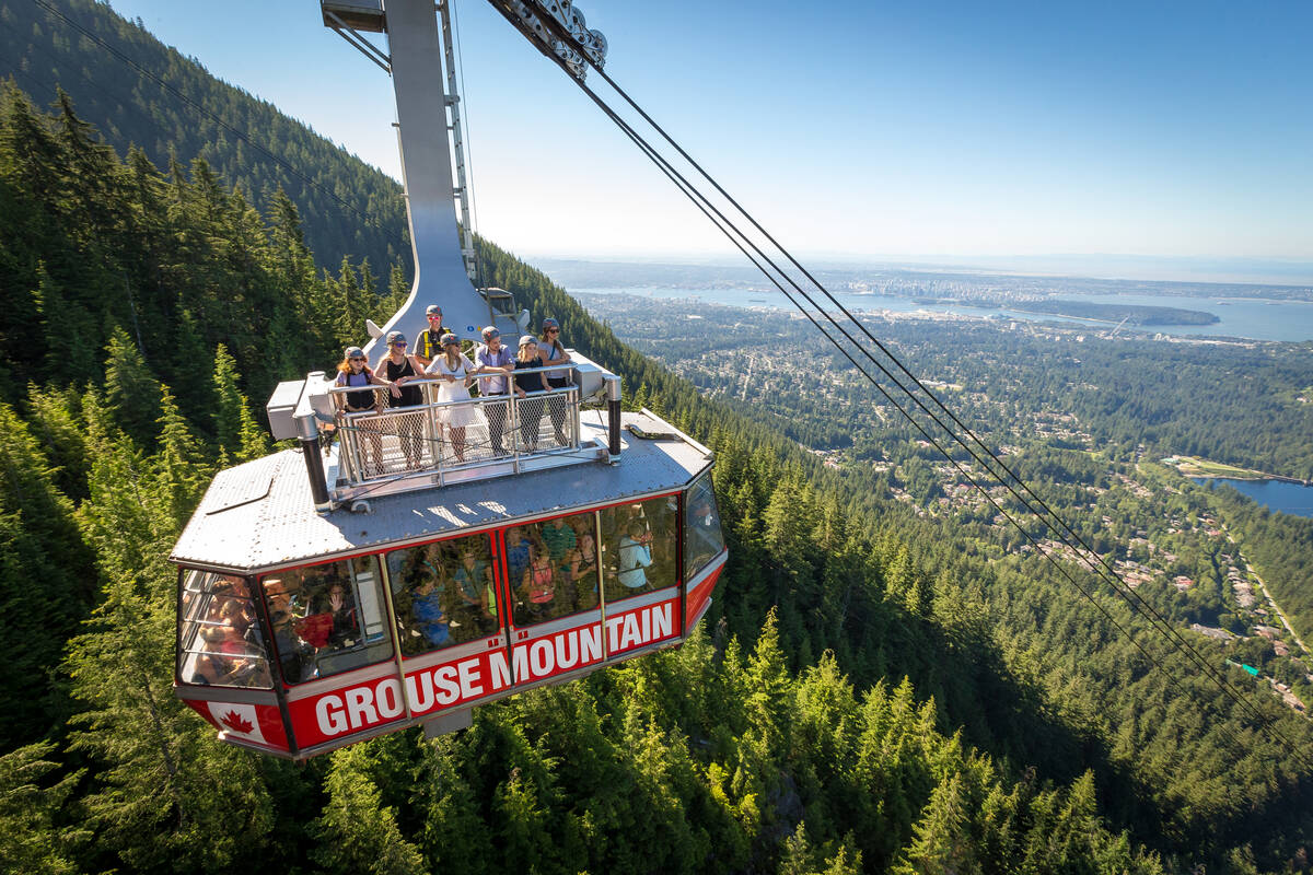 A gondola ascends a tree-covered mountain overlooking the city below.