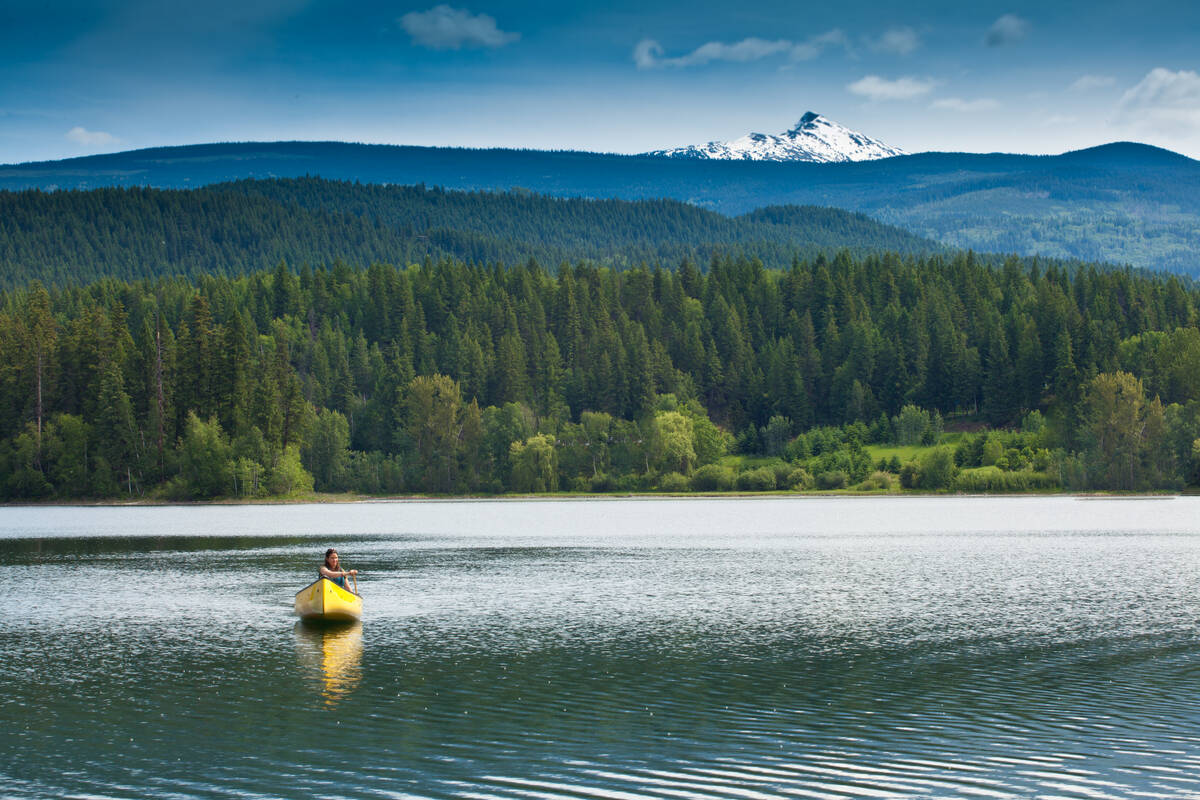 A person paddles a yellow canoe on a calm lake, surrounded by lush green forest and mountains. In the distance, a snow-capped peak rises against a clear blue sky.