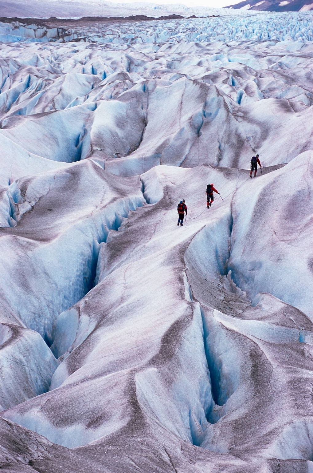 A group of hikers trekking along a large glacier in Atlin Provoncial Park.
