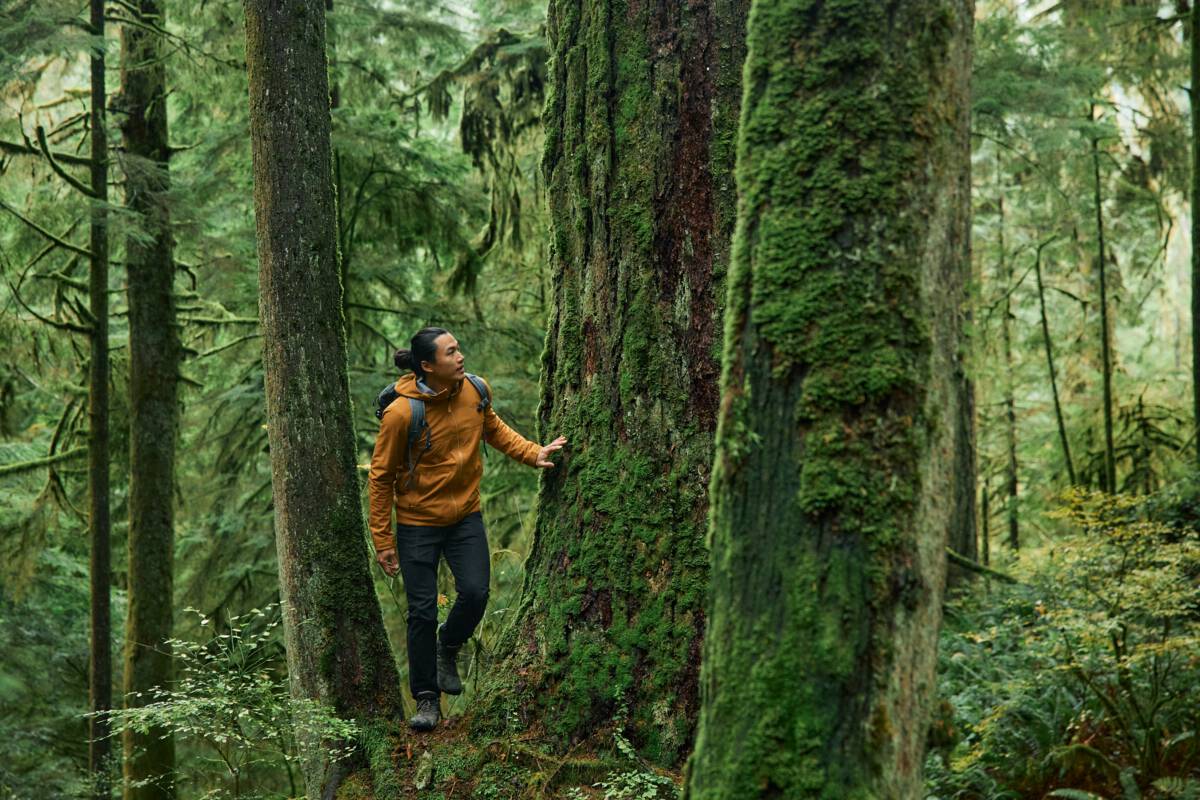 A person hiking in the woods in North Vancouver