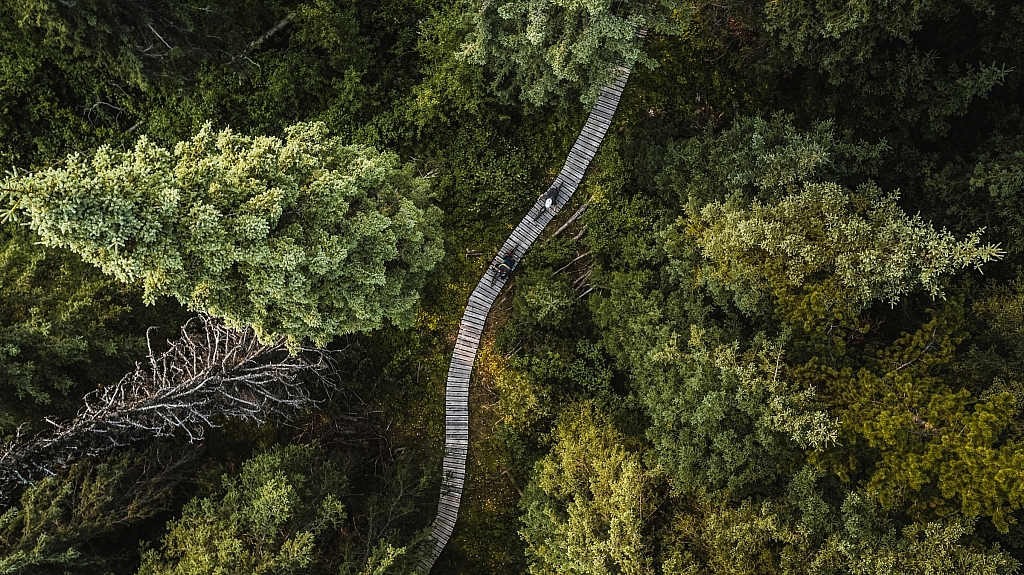 An aerial view of two mountain bikers riding along a wooden bridge that spans across a lush valley.