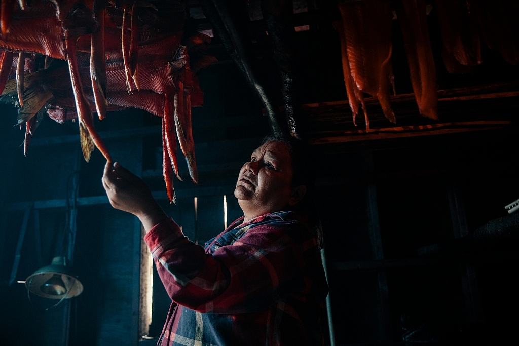 A Gingolx person observes smoking salmon in a Nisga'a Nation smoke house.