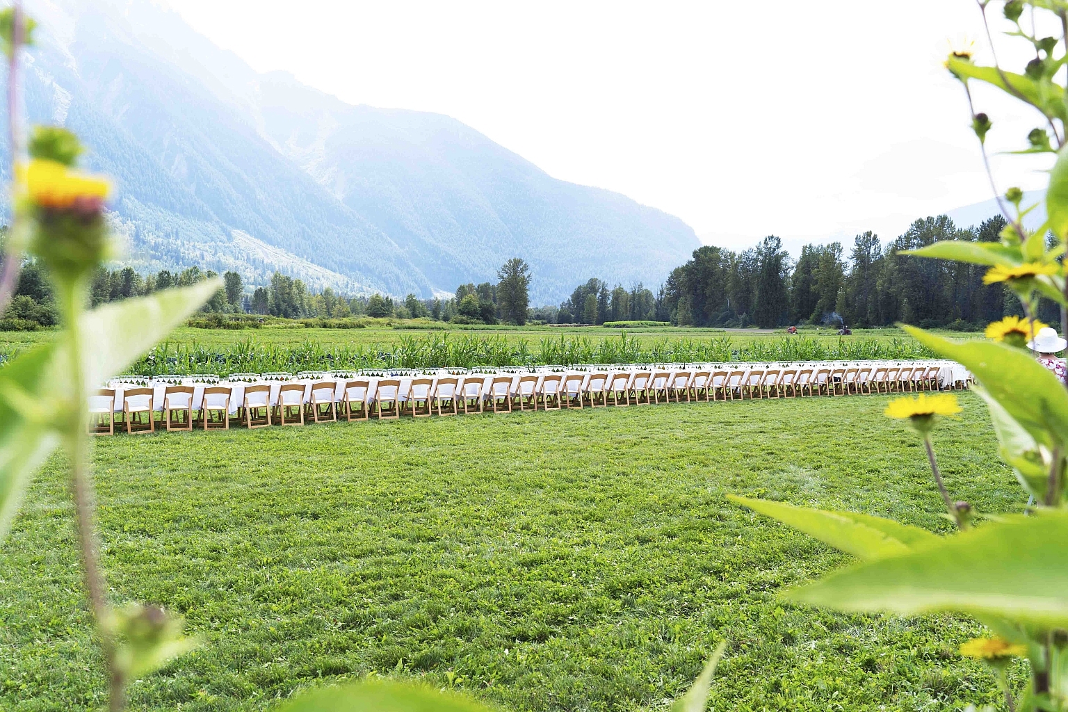 A long table is set up in the middle of a field with green grass and a mountain in the background.