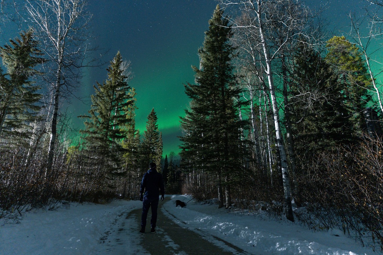 Man walks along a trail in the evening, with tress and the northern lights in the background.