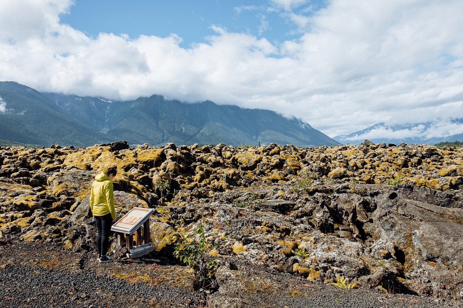 A person reads an interpretive sign that stands in front of a pile of black lava rocks that are covered in yellow lichen.